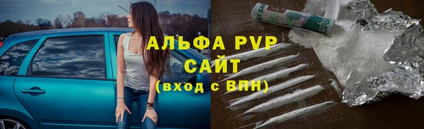 прущие грибы Гусь-Хрустальный