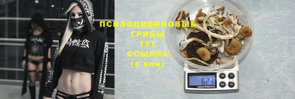 прущие грибы Гусь-Хрустальный