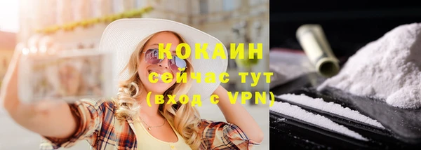 прущие грибы Гусь-Хрустальный