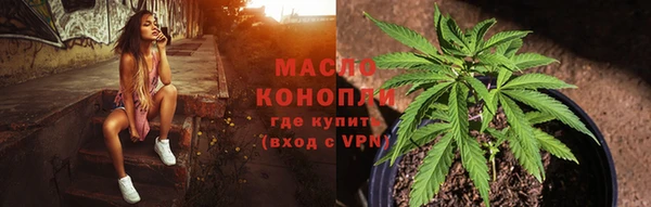 прущие грибы Гусь-Хрустальный